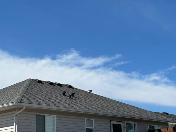 Best Steel Roofing  in Xenia, OH